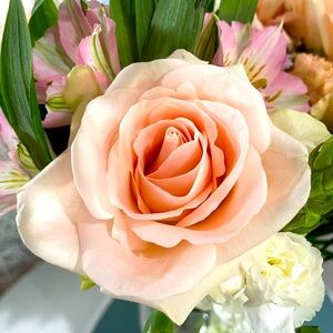 Meet your Posher, X-Tina